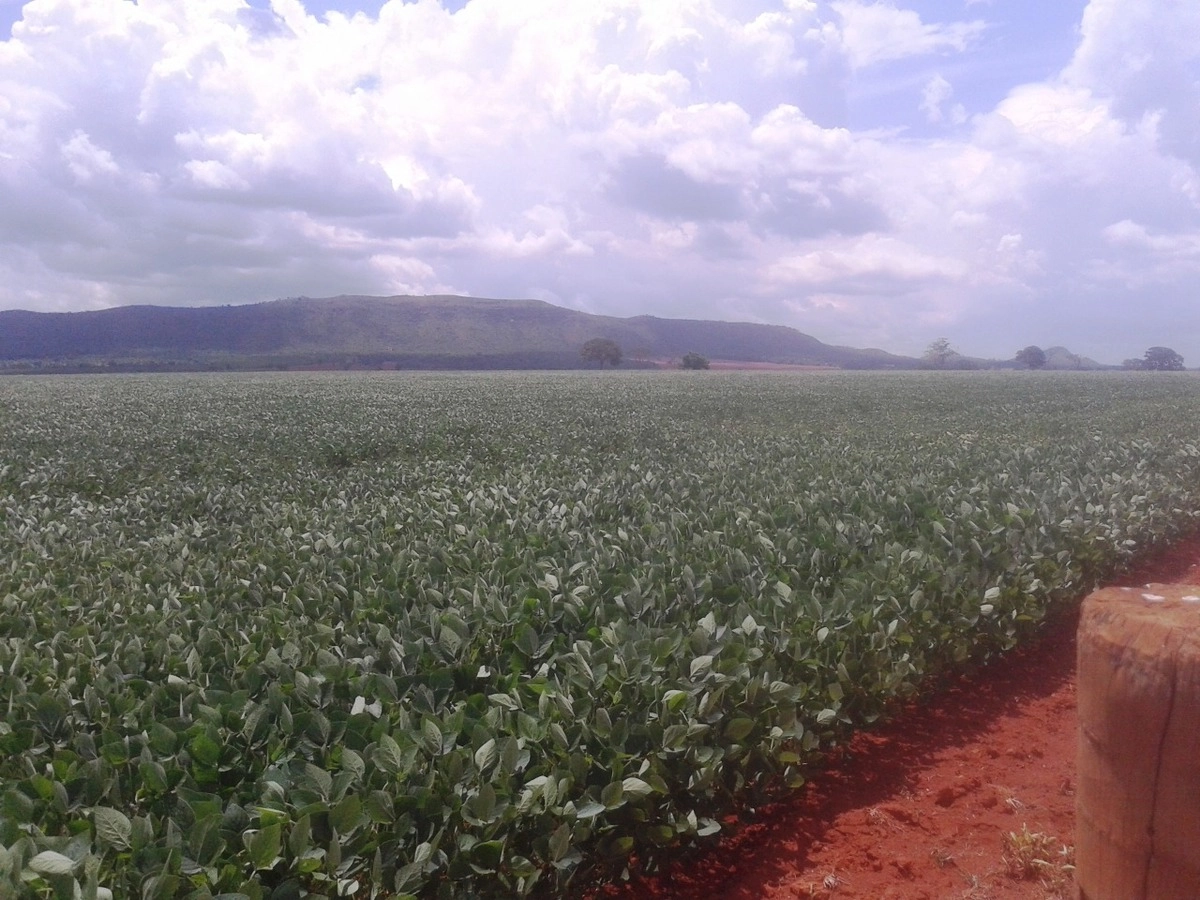 Fazenda/Sítios/Chácaras de 71830000m² no bairro Paracatu, em Paracatu | Eu Corretor