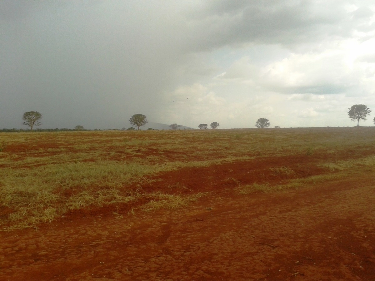 image_re_6767360.jpg
