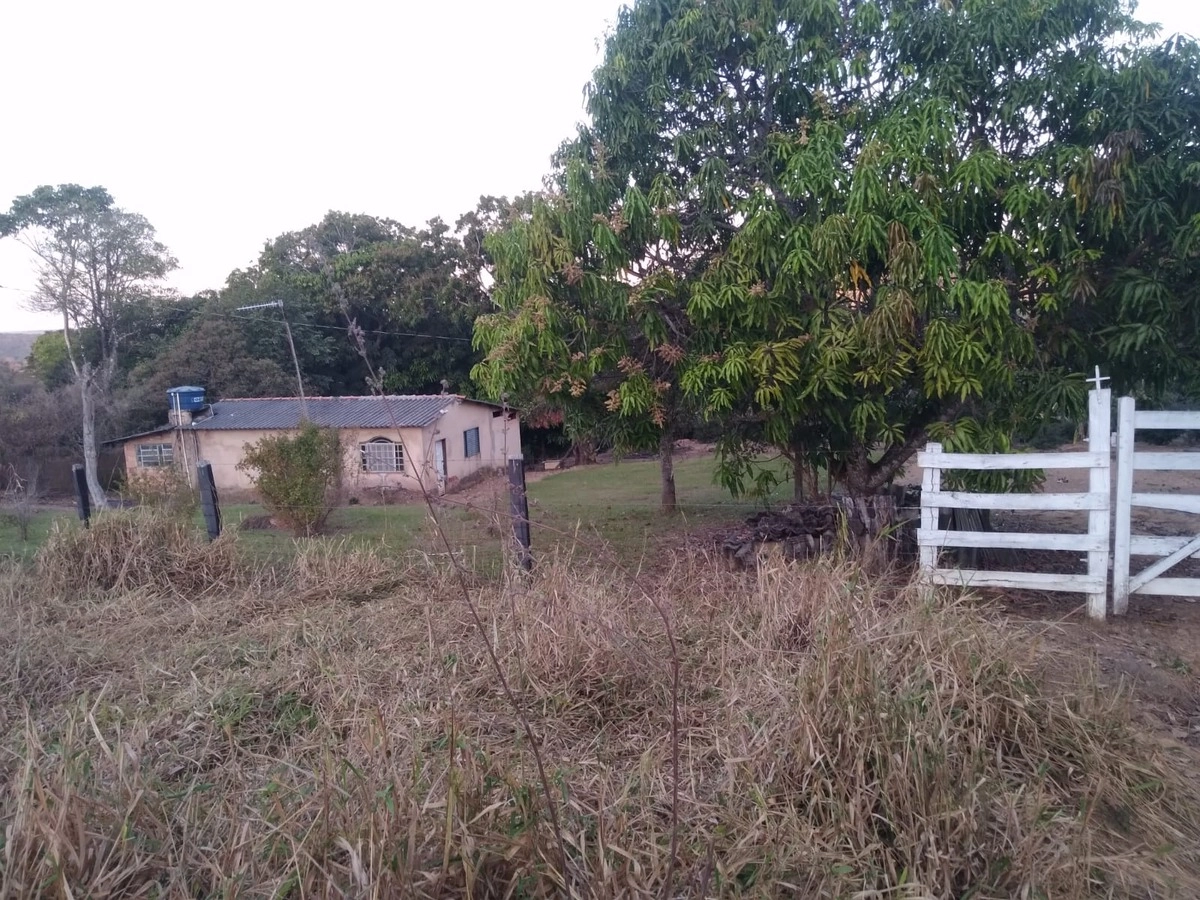 image_re_6767427.jpg