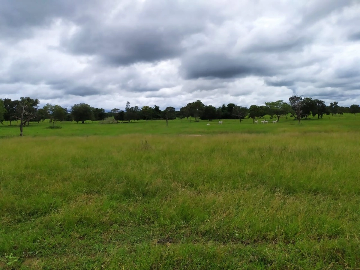 Fazenda/Sítios/Chácaras de 11422400m² no bairro Cocalinho, em Cocalinho | Eu Corretor