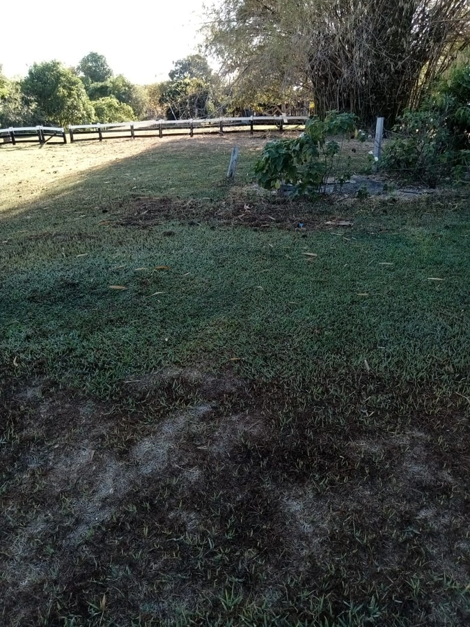 image_re_6767512.jpg