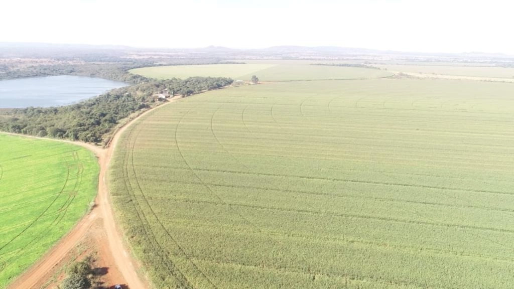 Fazenda/Sítios/Chácaras de 16000000m² no bairro Primavera, em Unaí | Eu Corretor