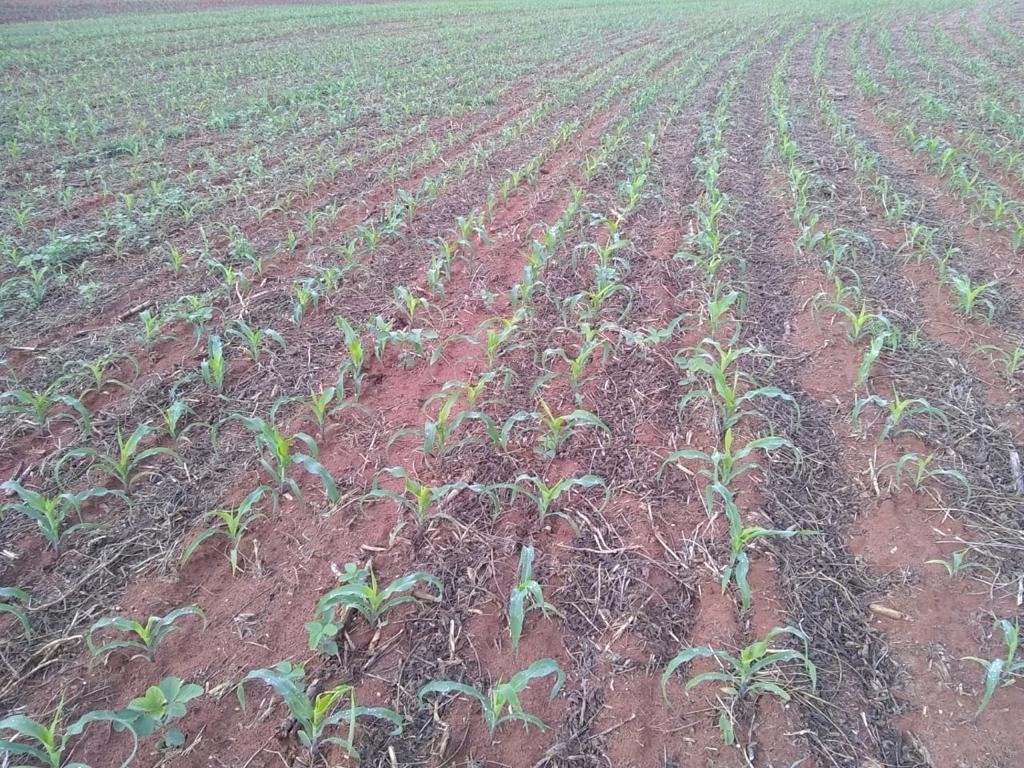 Fazenda/Sítios/Chácaras de 15294400m² no bairro Centro, em Marília | Eu Corretor
