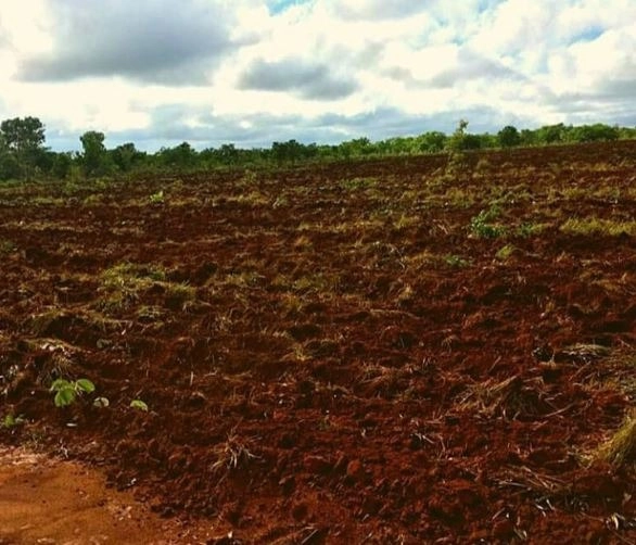 Fazenda/Sítios/Chácaras de 77070000m² no bairro Babaçulândia, em Babaçulândia | Eu Corretor