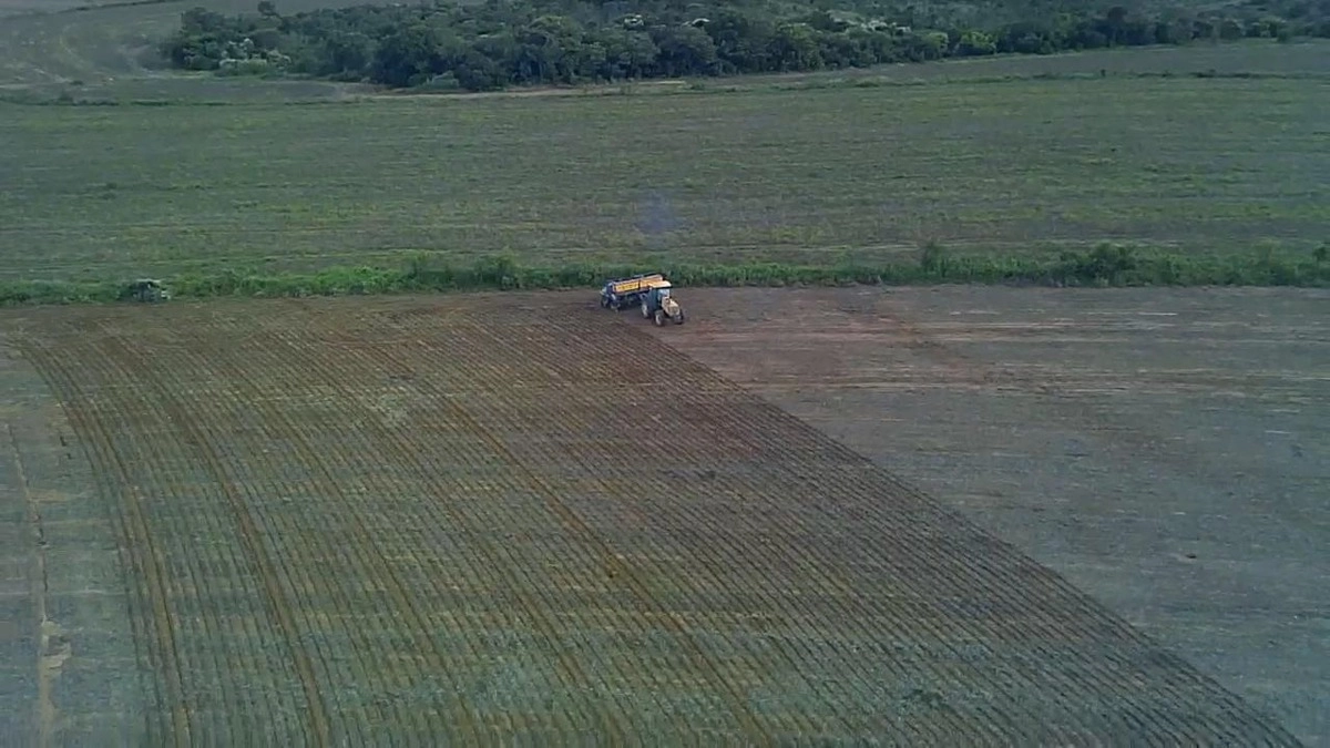 Fazenda/Sítios/Chácaras de 5010000m² no bairro Primavera, em Unaí | Eu Corretor