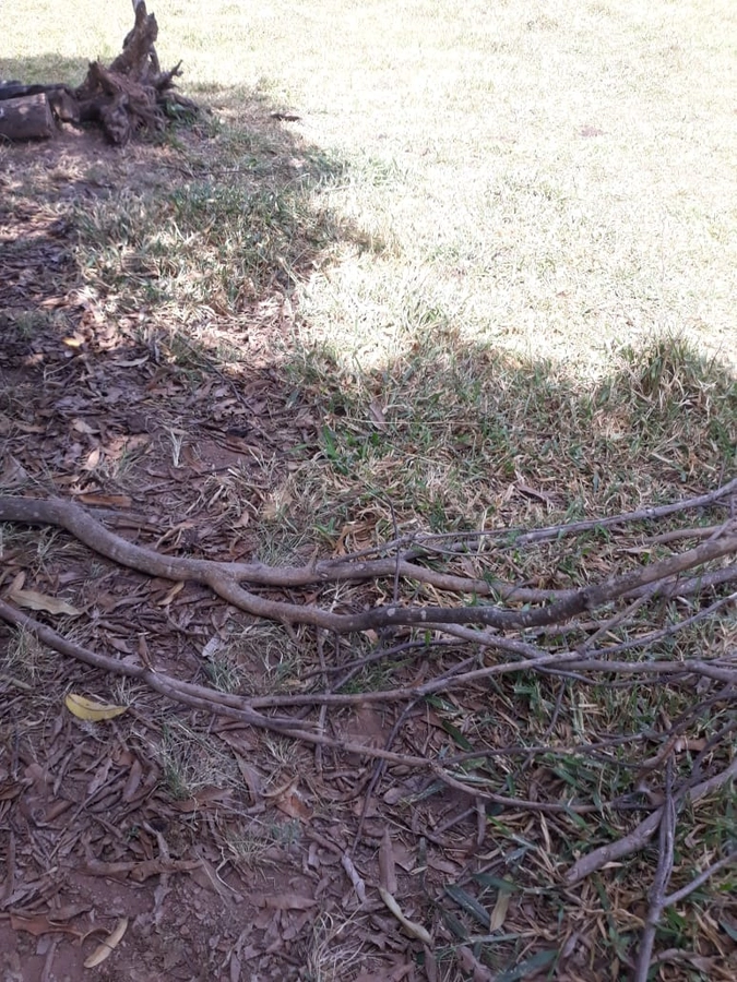 image_re_6767743.jpg