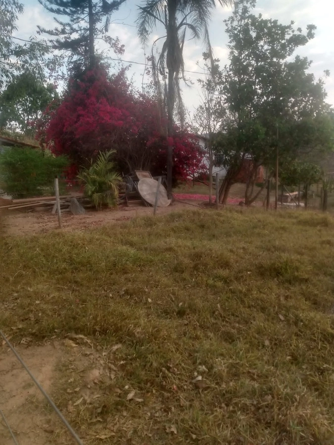 image_re_6767802.jpg