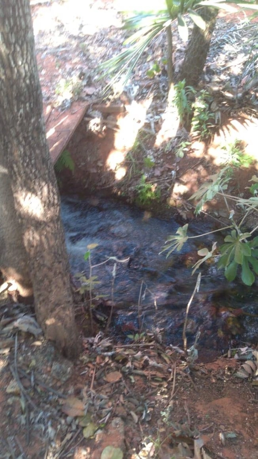 image_re_6767918.jpg
