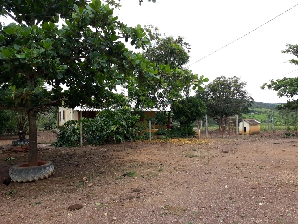 image_re_6767987.jpg