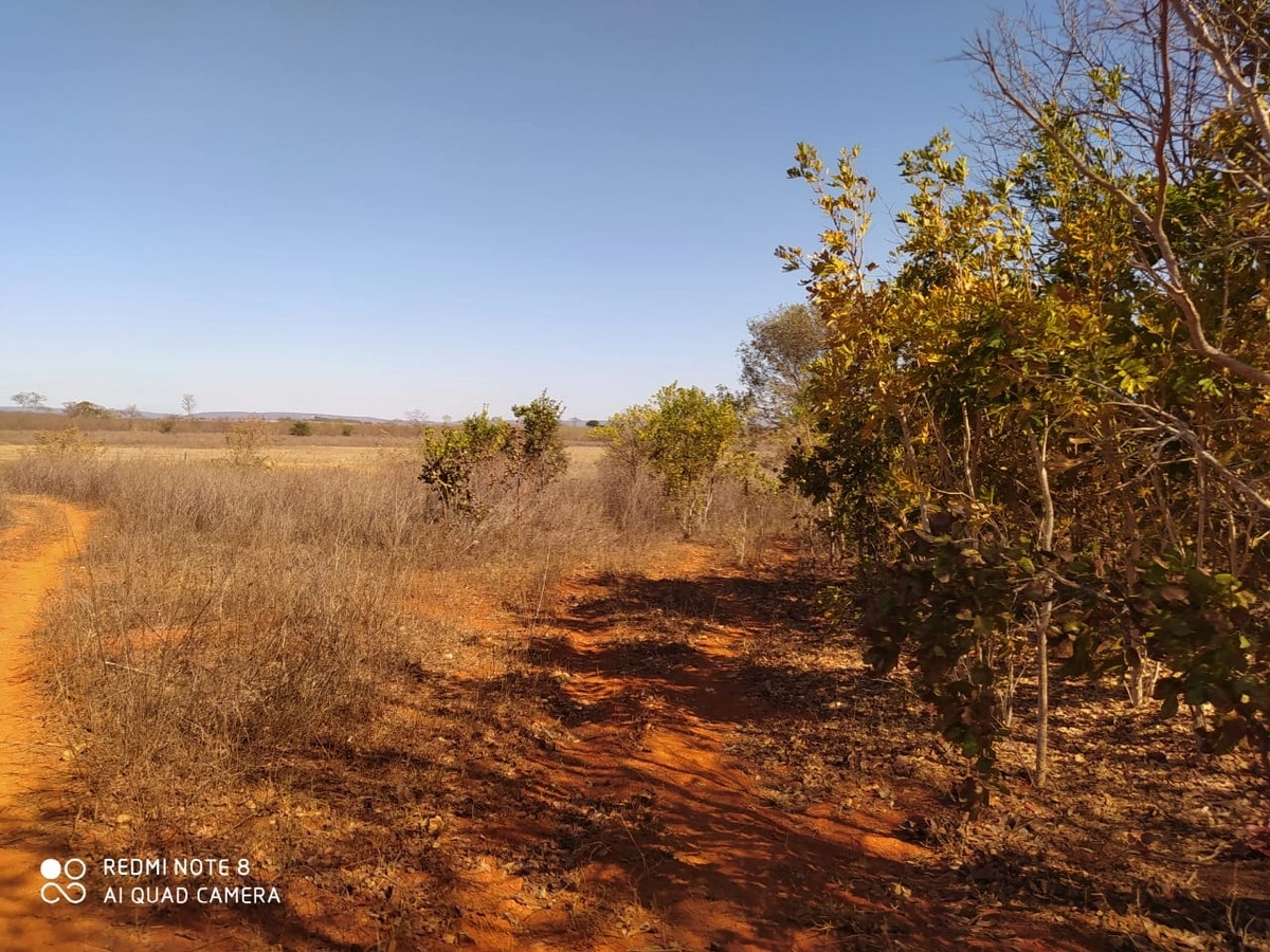 Fazenda/Sítios/Chácaras de 10000000m² no bairro Jequitaí, em Jequitaí | Eu Corretor