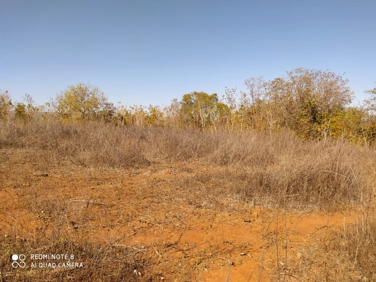 Fazenda/Sítios/Chácaras de 10000000m² no bairro Jequitaí, em Jequitaí | Eu Corretor
