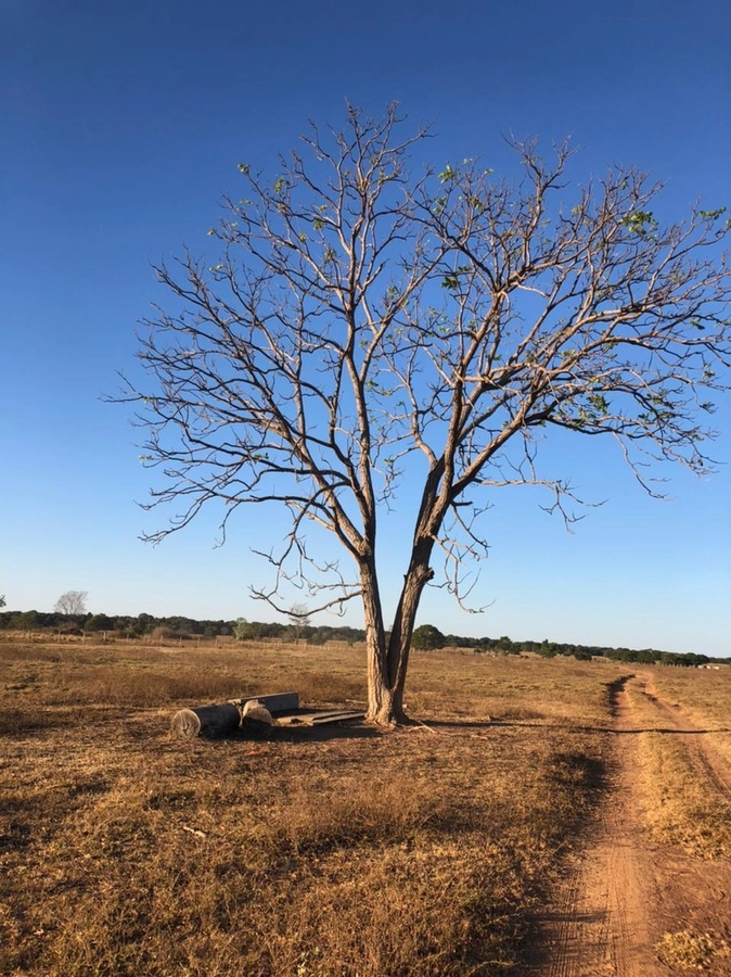 Fazenda/Sítios/Chácaras de 17036800m² no bairro Nova Crixás, em Nova Crixás | Eu Corretor