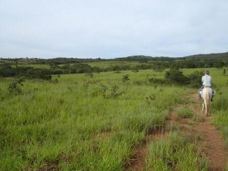 Fazenda/Sítios/Chácaras de 21150000m² no bairro Primavera, em Unaí | Eu Corretor