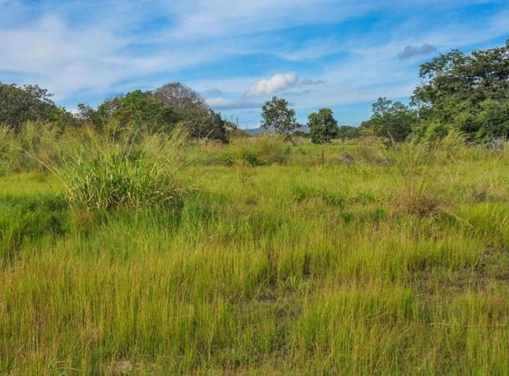 Fazenda/Sítios/Chácaras de 5269200m² no bairro Vila Propício, em Vila Propício | Eu Corretor
