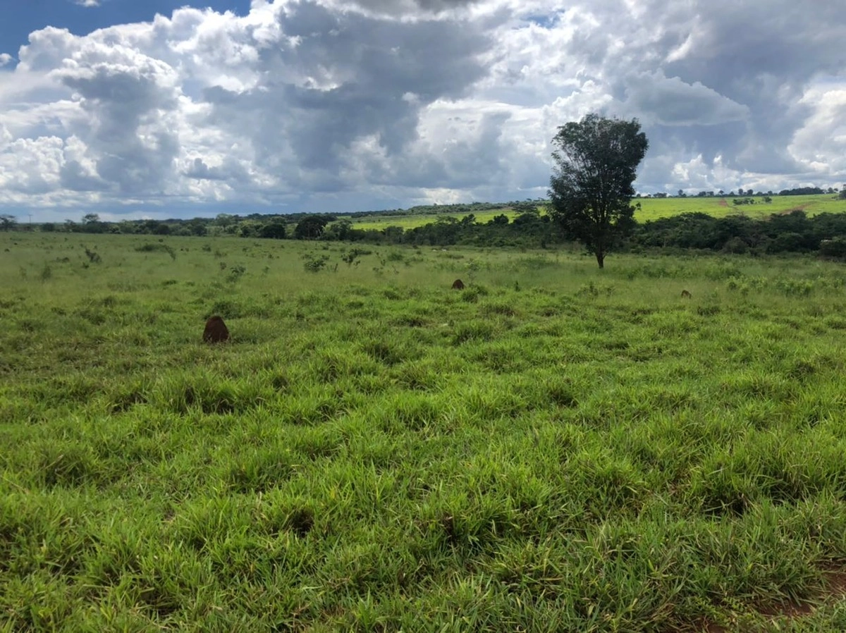 Fazenda/Sítios/Chácaras de 8421600m² no bairro Quirinópolis, em Quirinópolis | Eu Corretor