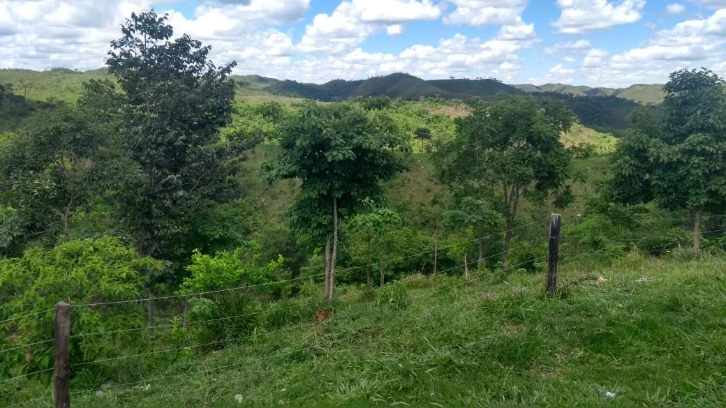Fazenda/Sítios/Chácaras de 9438000m² no bairro Setor Oeste, em Planaltina | Eu Corretor