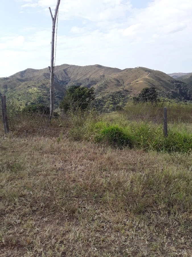 image_re_6768297.jpg