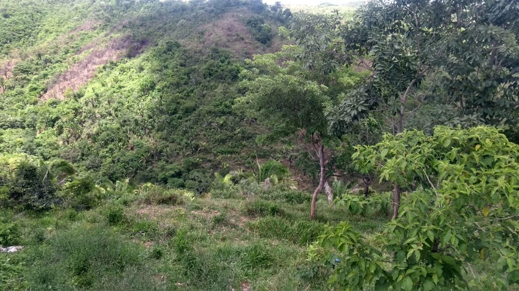 Fazenda/Sítios/Chácaras de 9438000m² no bairro Setor Oeste, em Planaltina | Eu Corretor