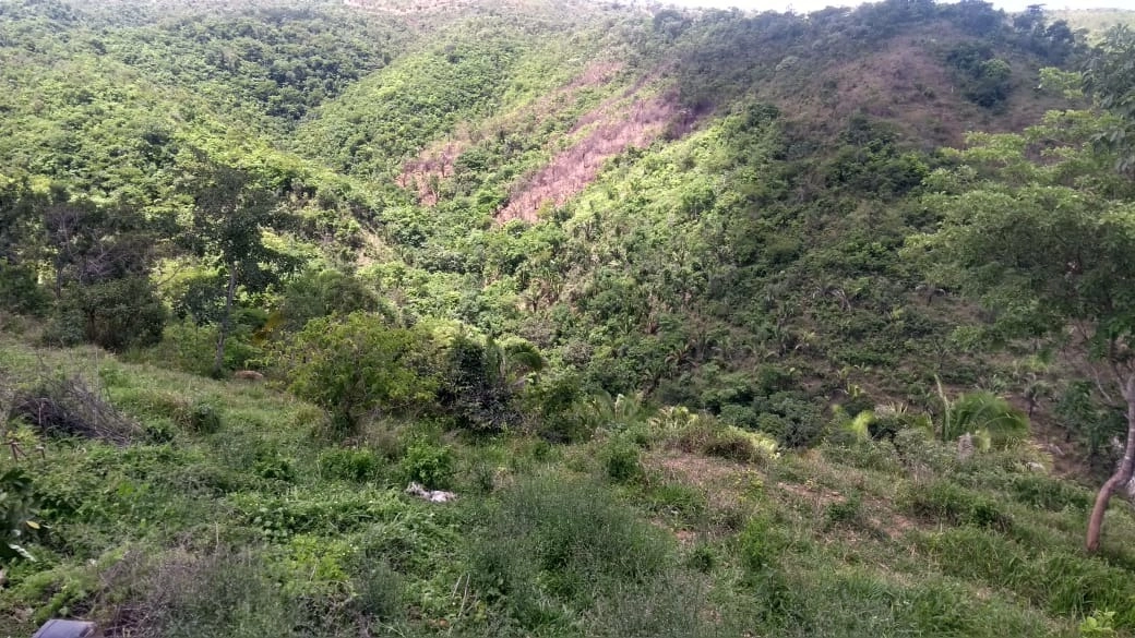 image_re_6768301.jpg