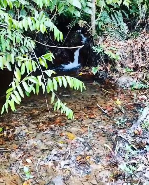 Fazenda/Sítios/Chácaras de 680000m² no bairro Setor Oeste, em Planaltina | Eu Corretor