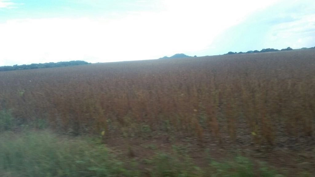image_re_6768437.jpg