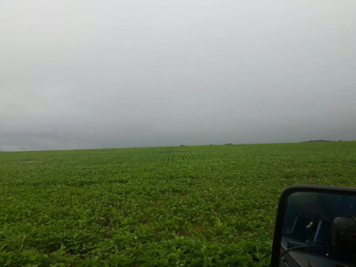 image_re_6768439.jpg