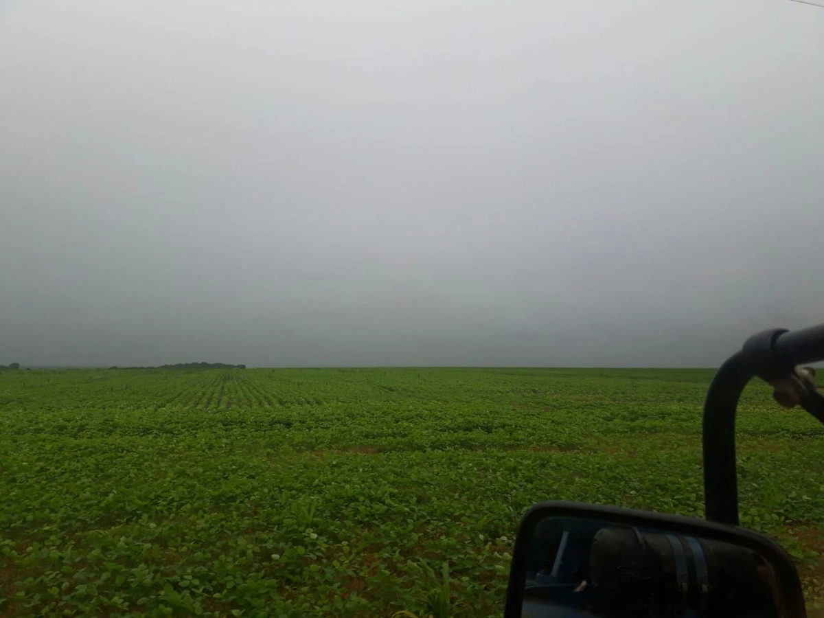 image_re_6768454.jpg
