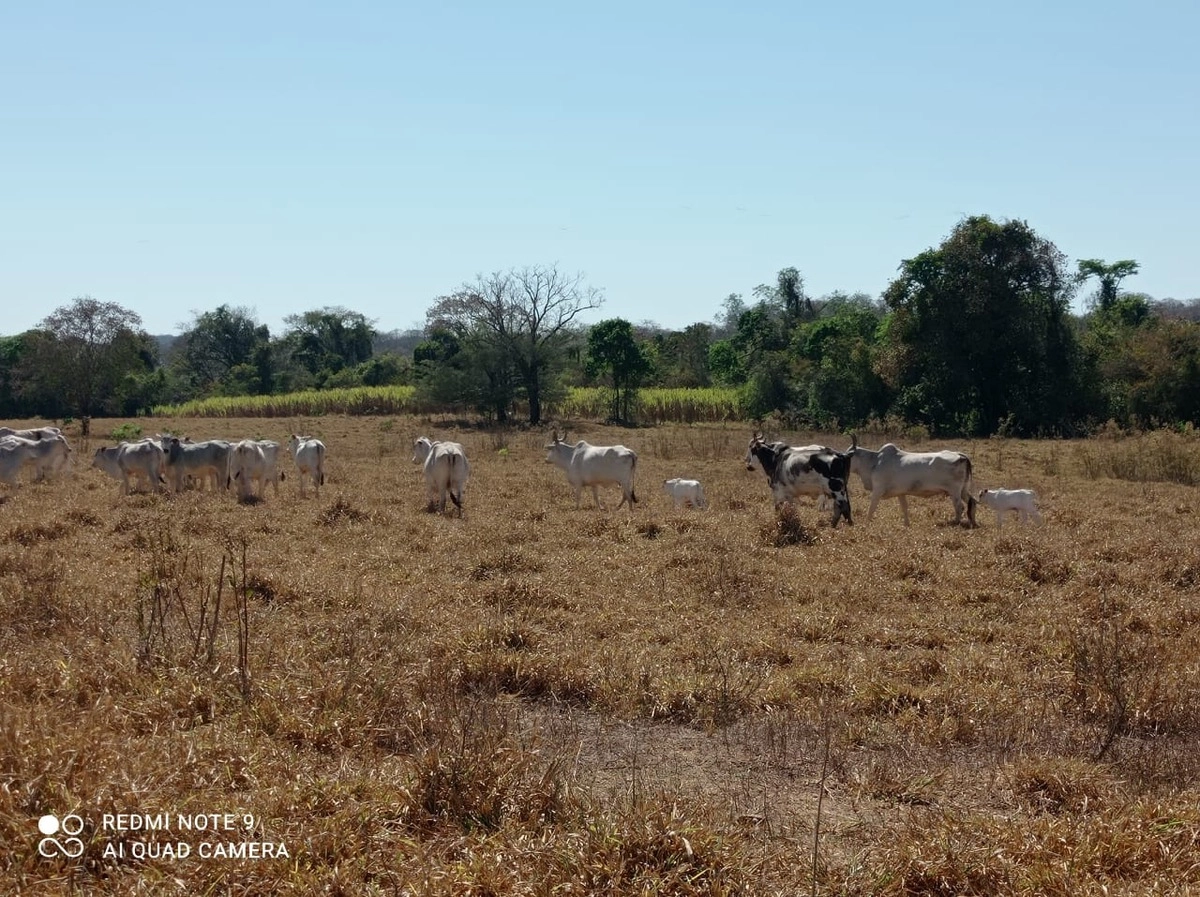 Fazenda/Sítios/Chácaras de 5120000m² no bairro Setor Leste, em Planaltina | Eu Corretor
