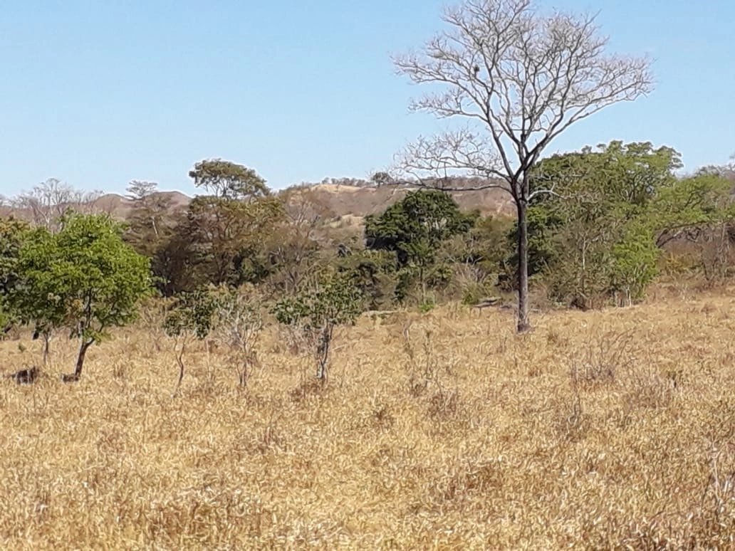 Fazenda/Sítios/Chácaras de 5120000m² no bairro Setor Leste, em Planaltina | Eu Corretor
