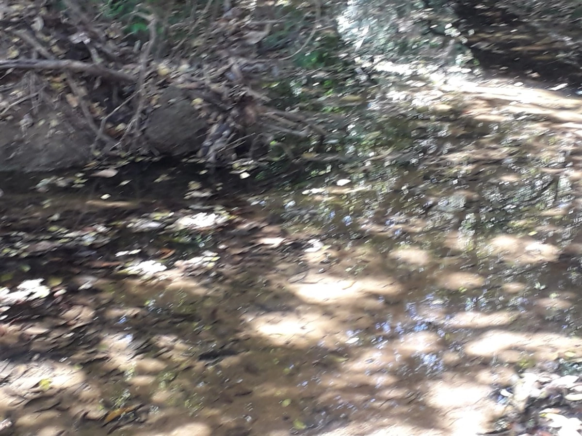 image_re_6768475.jpg