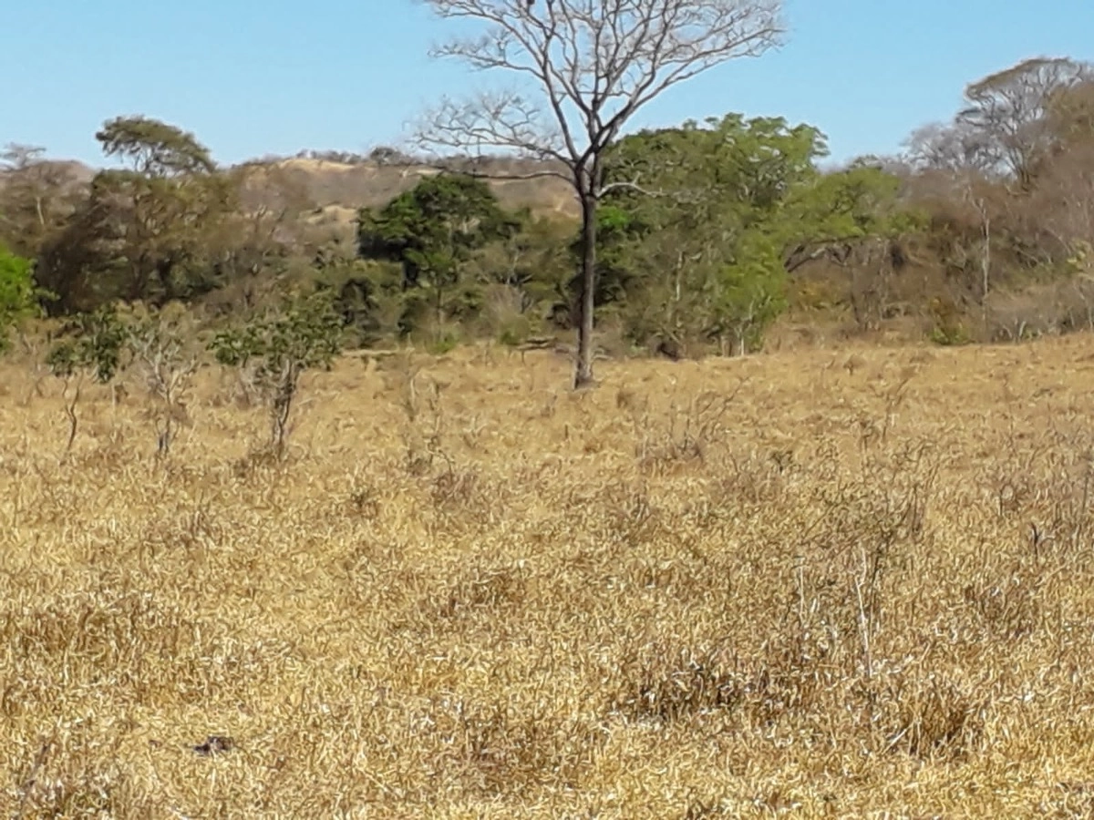 Fazenda/Sítios/Chácaras de 5120000m² no bairro Setor Leste, em Planaltina | Eu Corretor