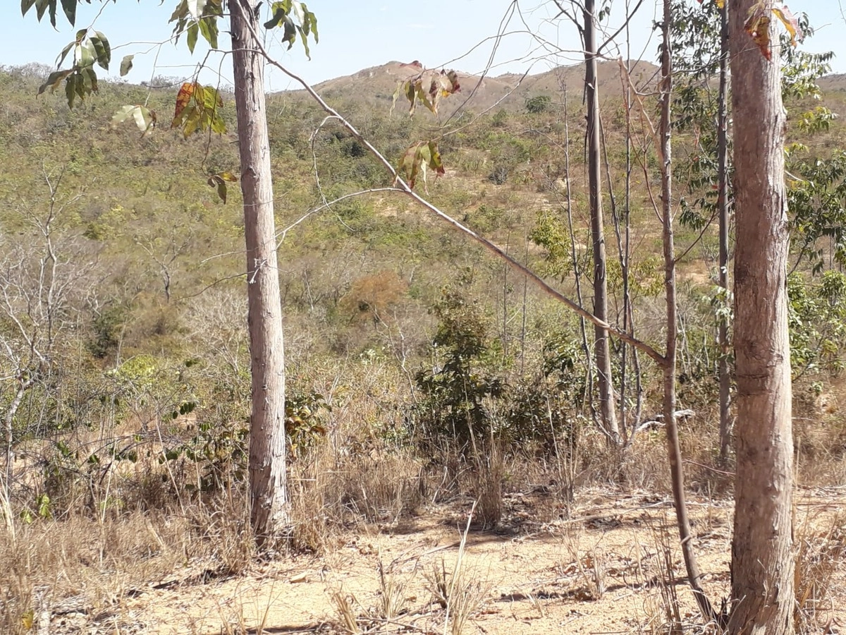 image_re_6768481.jpg