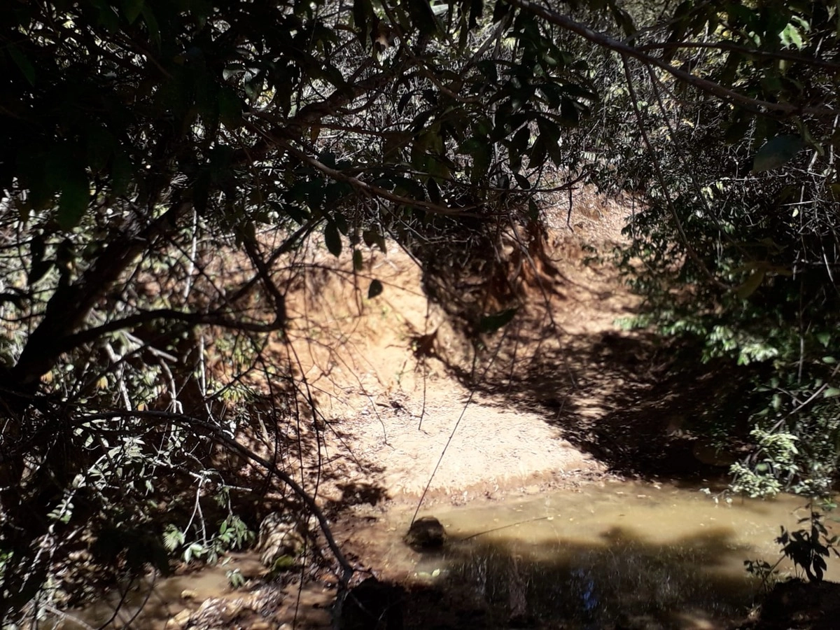image_re_6768482.jpg