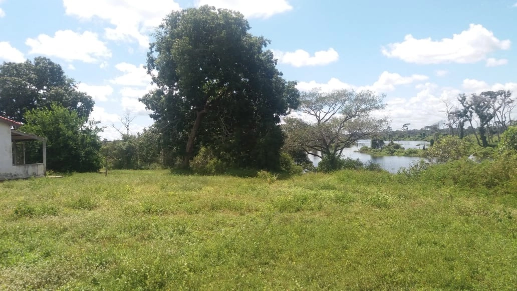 Fazenda/Sítios/Chácaras de 153000000m² no bairro Ribeirão Cascalheira, em Ribeirão Cascalheira | Eu Corretor