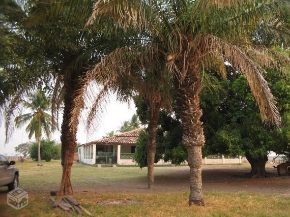 Fazenda/Sítios/Chácaras de 580800000m² no bairro Nova Cáceres, em Cáceres | Eu Corretor