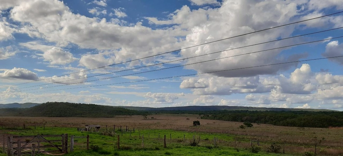 image_re_6768766.jpg