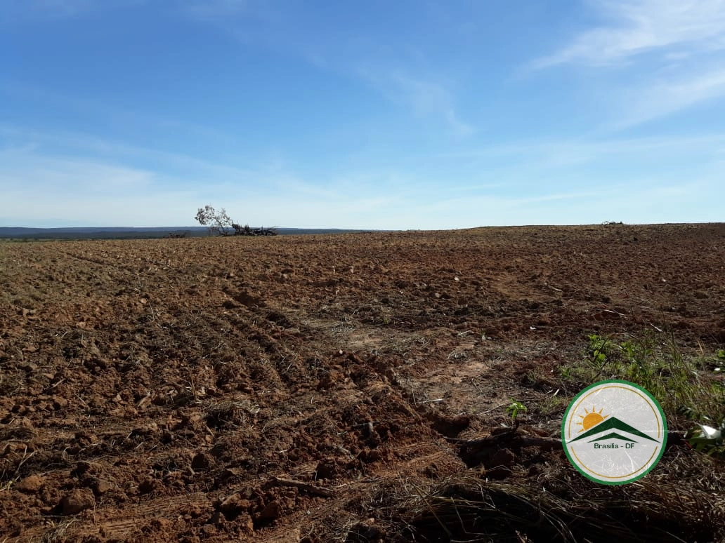 Fazenda/Sítios/Chácaras de 11000000m² no bairro Nova Brasilândia, em Nova Brasilândia | Eu Corretor
