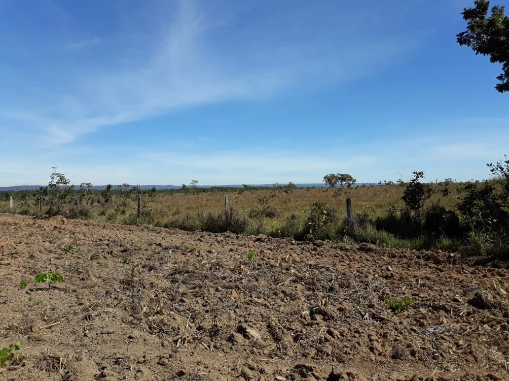 Fazenda/Sítios/Chácaras de 11000000m² no bairro Nova Brasilândia, em Nova Brasilândia | Eu Corretor