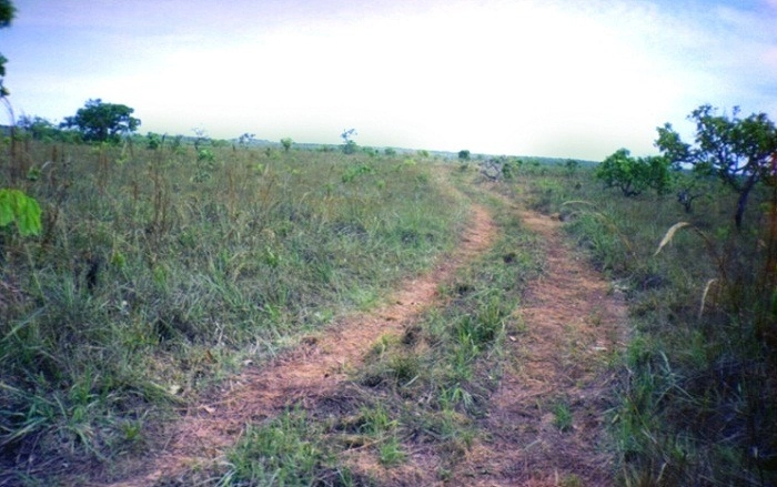 Fazenda/Sítios/Chácaras de 11000000m² no bairro Nova Brasilândia, em Nova Brasilândia | Eu Corretor