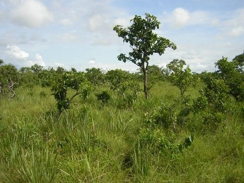 image_re_6768787.jpg