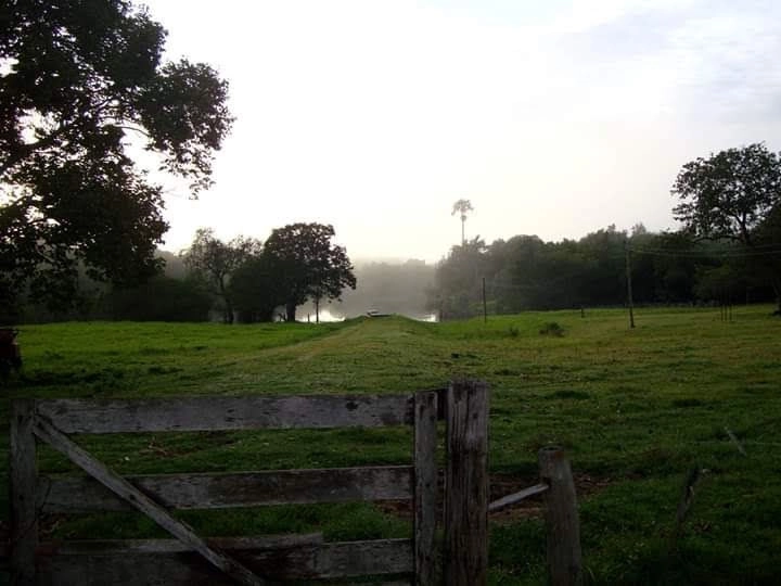 image_re_6768930.jpg