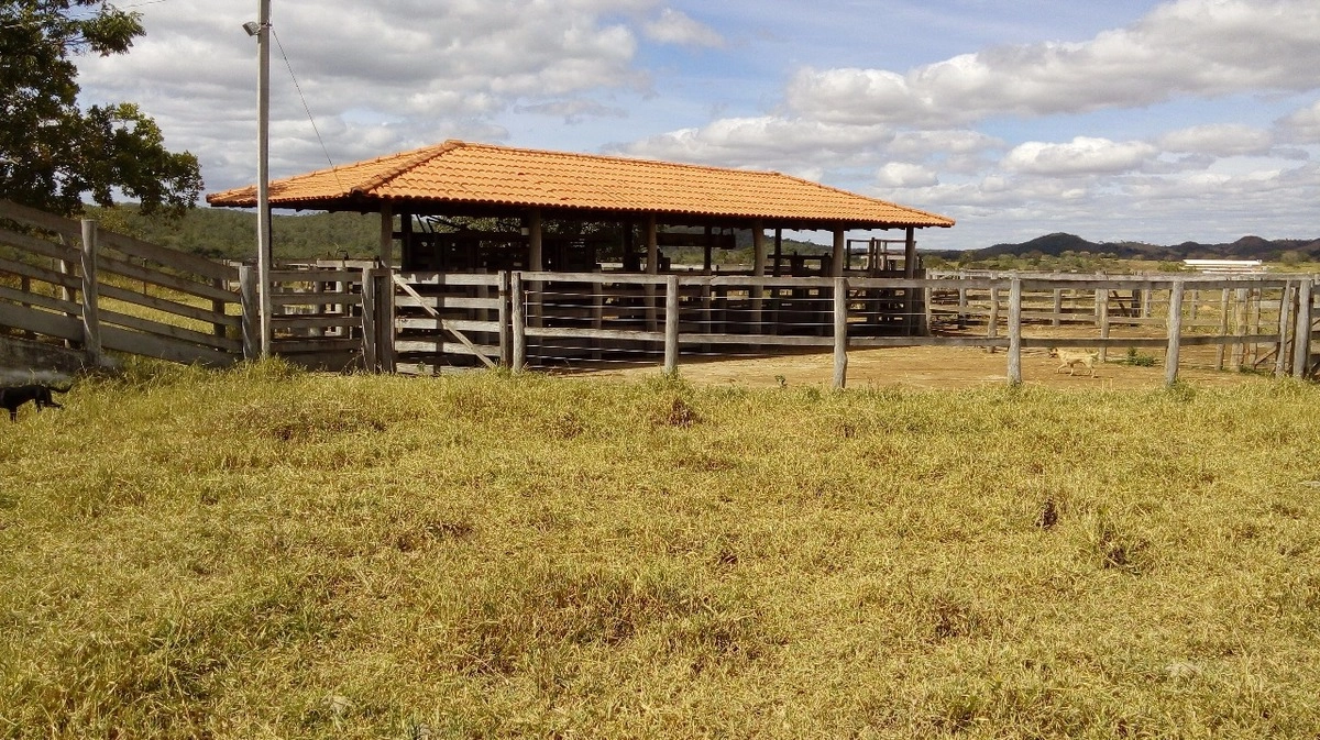 image_re_6769050.jpg