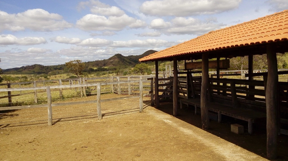 image_re_6769056.jpg