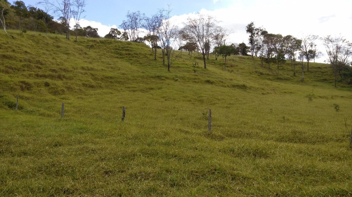 image_re_6769069.jpg
