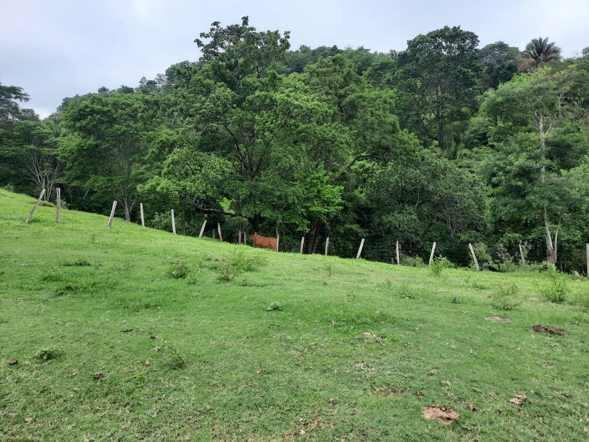 image_re_6769137.jpg
