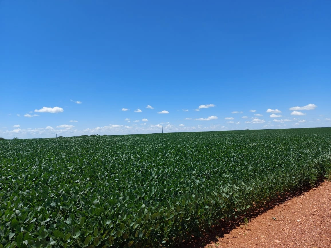 image_re_6769308.jpg