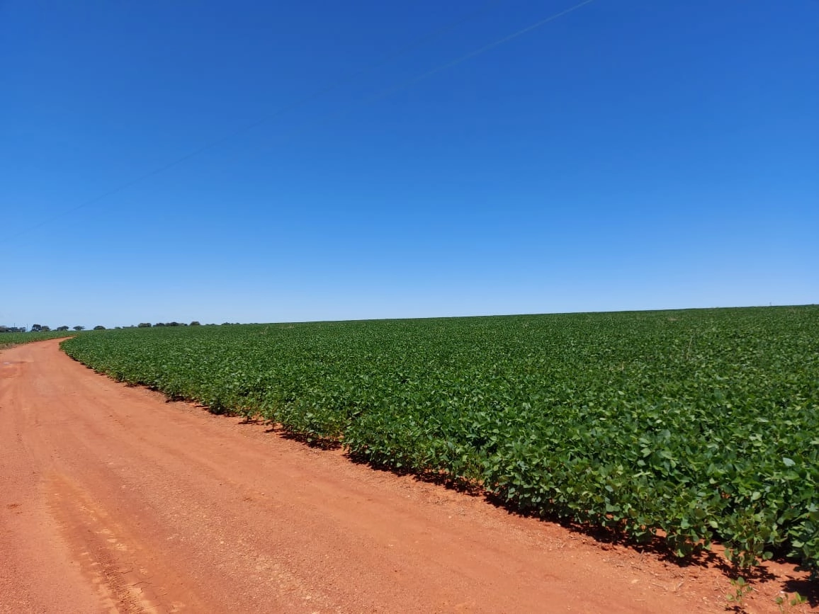 Fazenda/Sítios/Chácaras de 6090000m² no bairro Capim Branco II, em Unaí | Eu Corretor