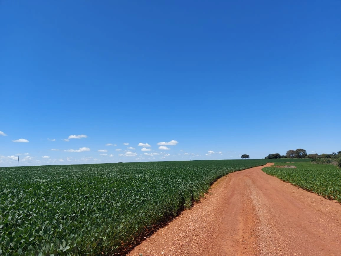 Fazenda/Sítios/Chácaras de 6090000m² no bairro Capim Branco II, em Unaí | Eu Corretor