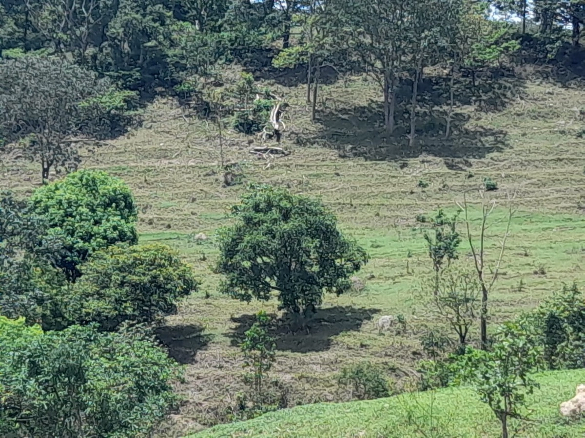 Chácara de 170000m² no bairro Alexânia, em Alexânia | Eu Corretor
