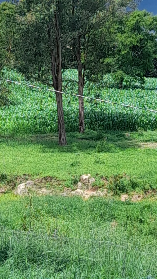 image_re_6769337.jpg